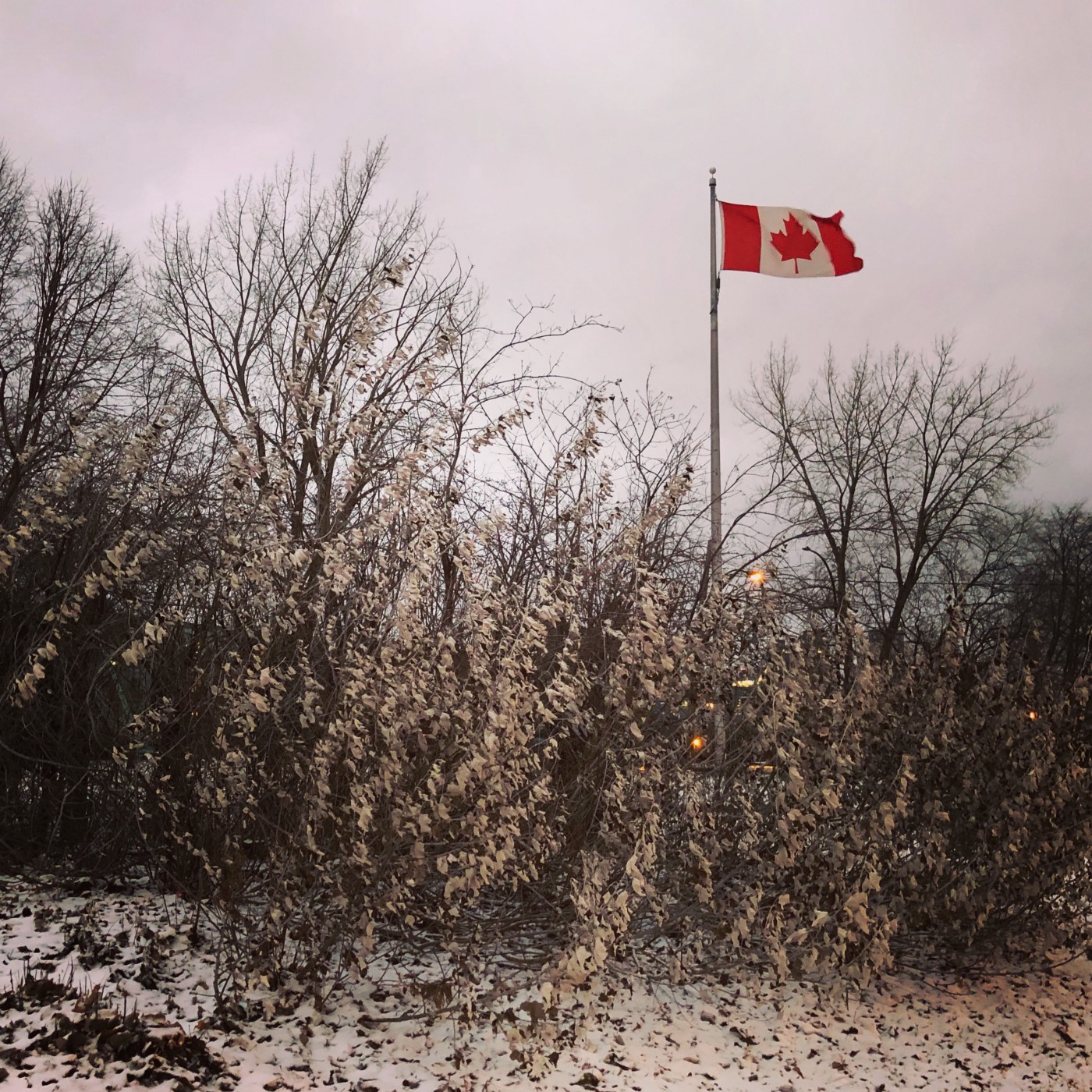 Copyright © Lex Li. Canada flag in a snowy day, Montreal.