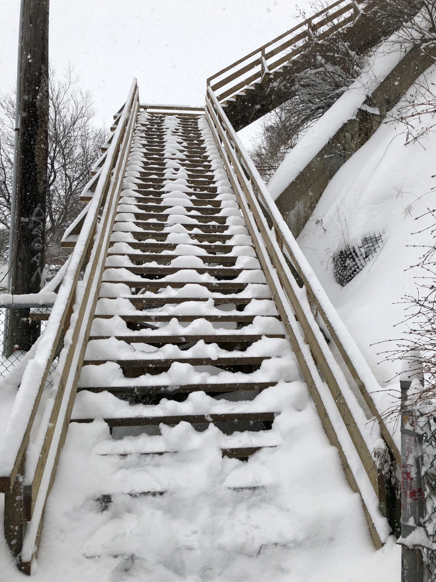 Copyright © Lex Li. Snow covered ladder in Quebec City.